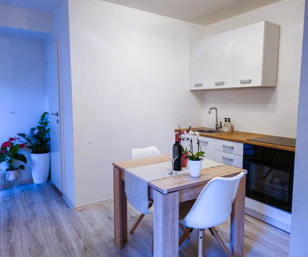 Apartment Smokvica